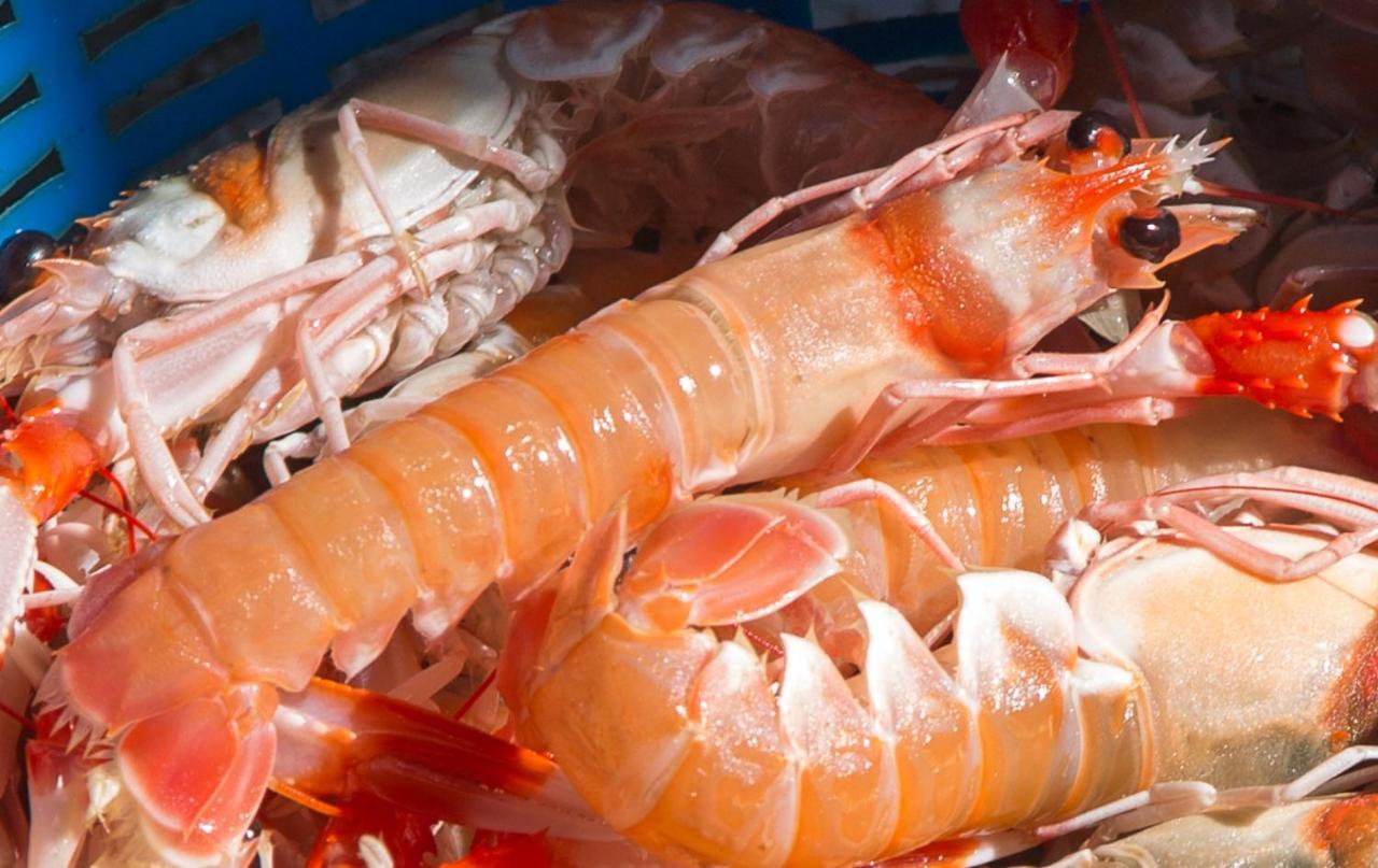 발리타드벨레즈 La Casita Del Pescador 빌라 외부 사진
